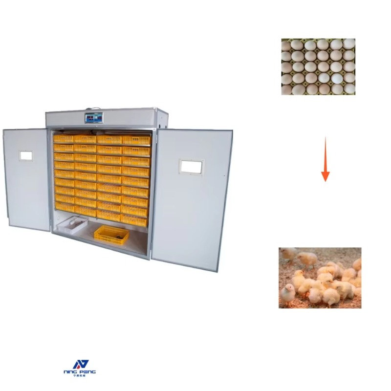 Poultry Incubator - آلة تفقيس بيض الدواجن تعمل بالطاقة