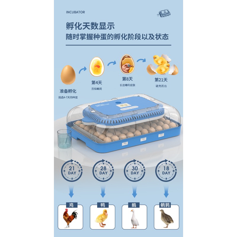 Poultry Incubator - حاضنة بيض أوتوماتيكية بمصدر طاقة مزدوج