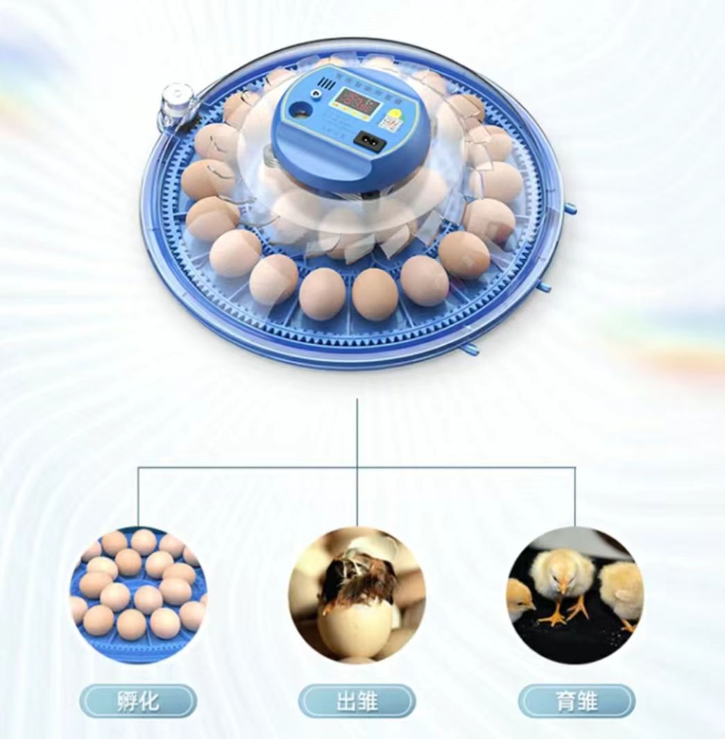 Poultry Incubator - حاضنة بيض دجاج أوتوماتيكية بالكامل سعة