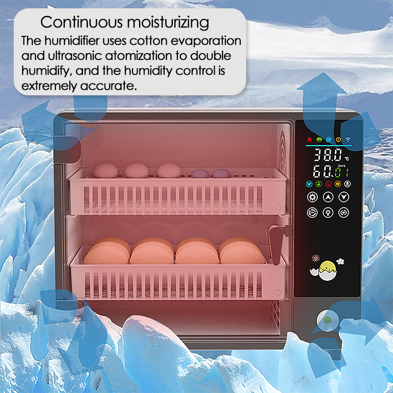 24 بيضة كاملة التلقائي تحول ال - مراجعة Poultry Incubator وسعره