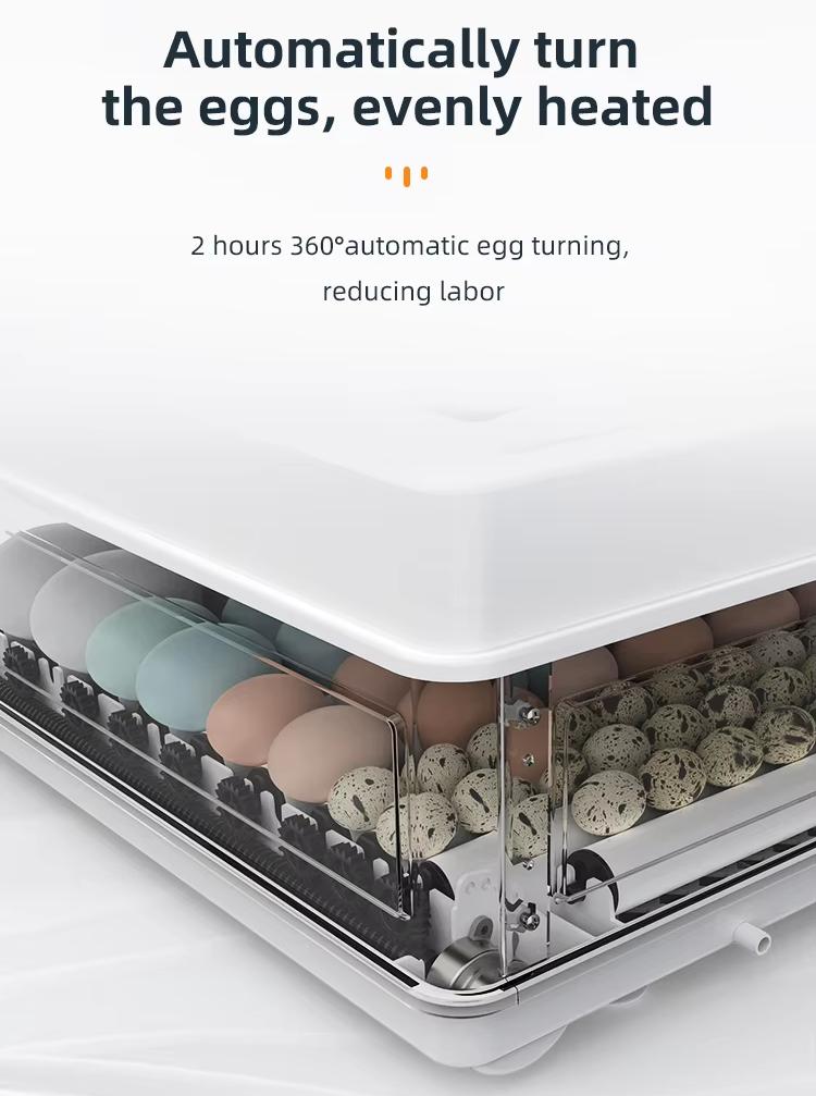 حاضنة بيض أوتوماتيكية بالكامل  - مراجعة Poultry Incubator وسعره