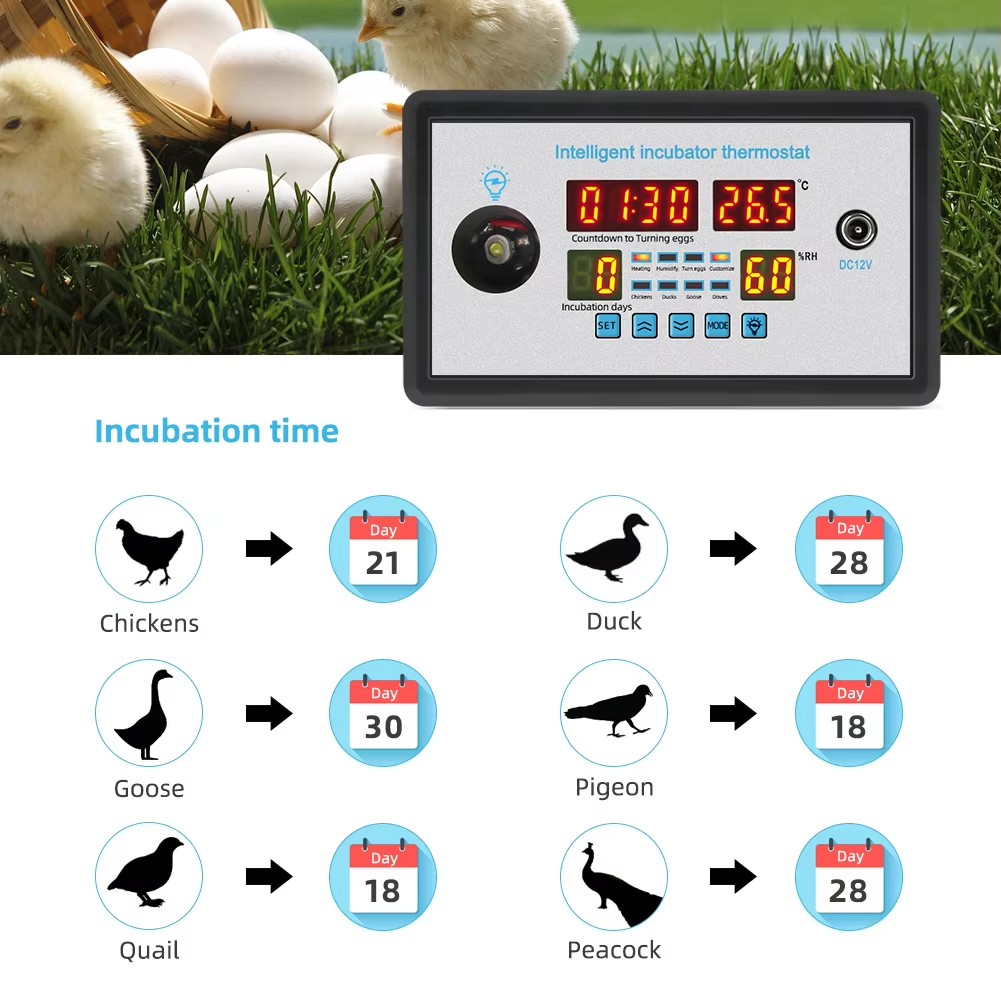 ZFX-W9002 12 فولت/220 فولت جها - مراجعة Poultry Incubator وسعره