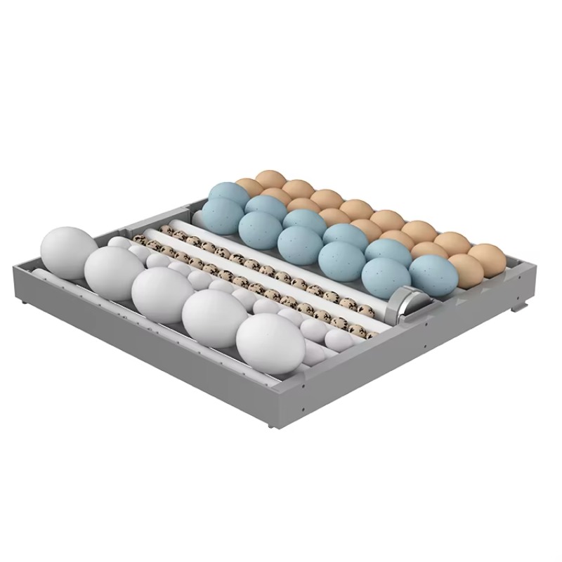 حاضنة ذكية بـ 7 طبقات لـ 448 ب - مراجعة Poultry Incubator وسعره