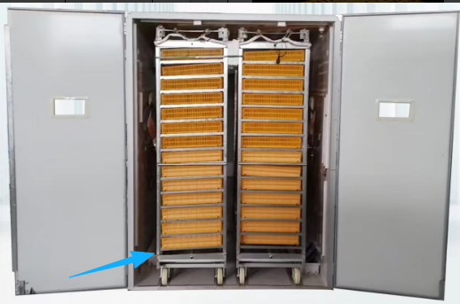 حاضنة بيض كبيرة سعة 1000 بيضة، - مراجعة Poultry Incubator وسعره