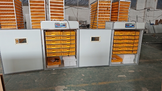 حاضنة بيض كبيرة سعة 1000 بيضة، - مراجعة Poultry Incubator وسعره