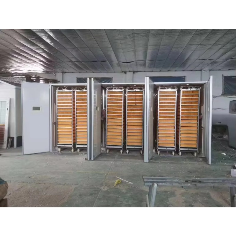 آلة تفقيس بيض الدواجن تعمل بال - مراجعة Poultry Incubator وسعره