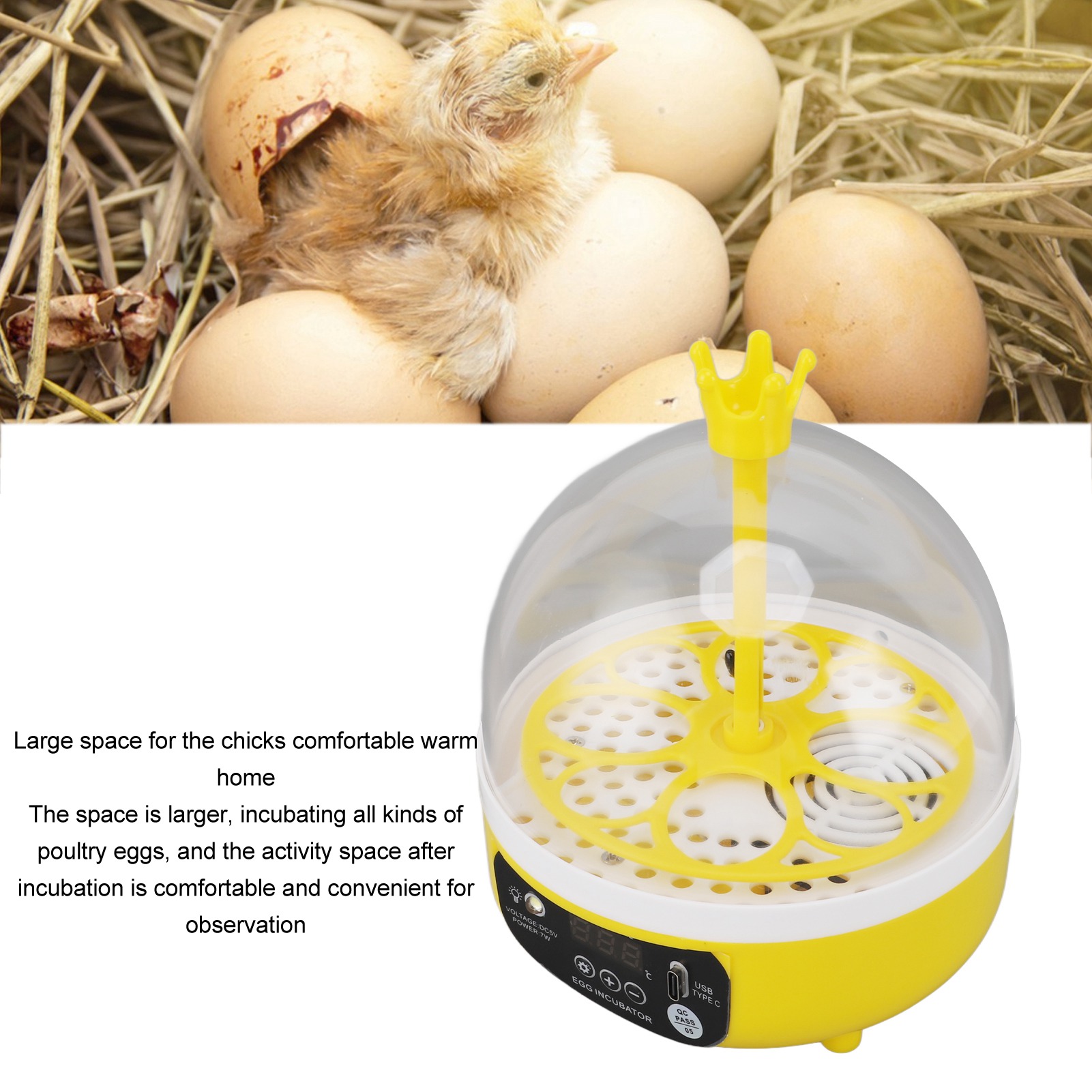 حاضنة البيض التلقائي التحكم في - مراجعة Poultry Incubator وسعره