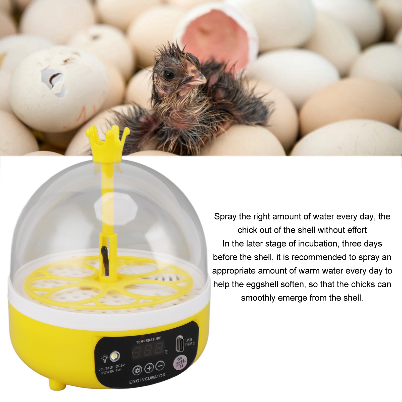 حاضنة البيض التلقائي التحكم في - مراجعة Poultry Incubator وسعره