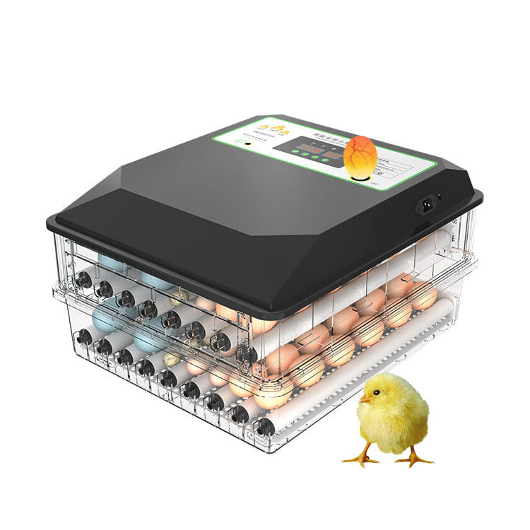 حاضنة بيض دواجن أوتوماتيكية وا - مراجعة Poultry Incubator وسعره