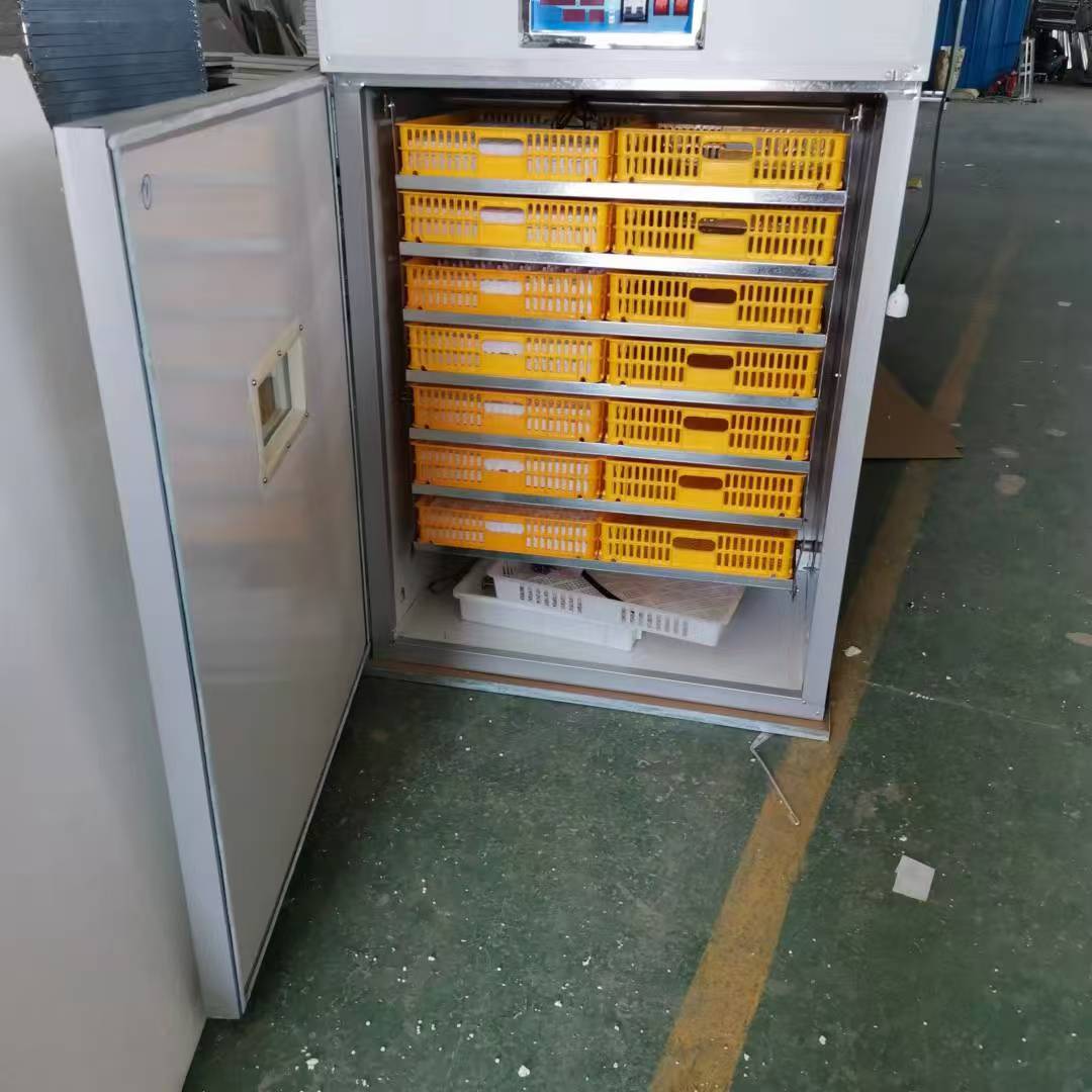 معدات تفقيس الدواجن الأوتوماتي - مراجعة Poultry Incubator وسعره