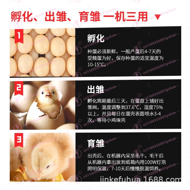 حاضنة بيض منزلية محمولة صغيرة  - مراجعة Poultry Incubator وسعره