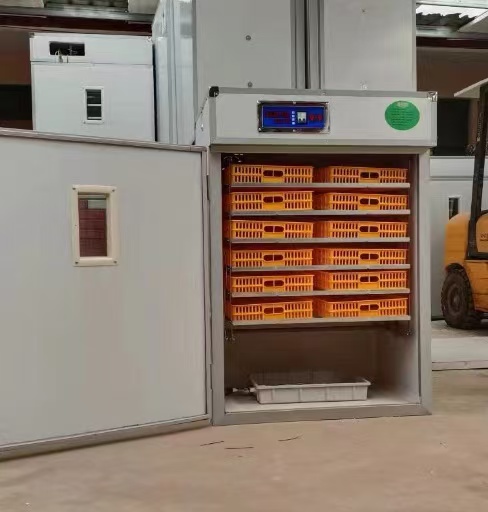 حاضنة بيض دجاج أوتوماتيكية ذكي - مراجعة Poultry Incubator وسعره