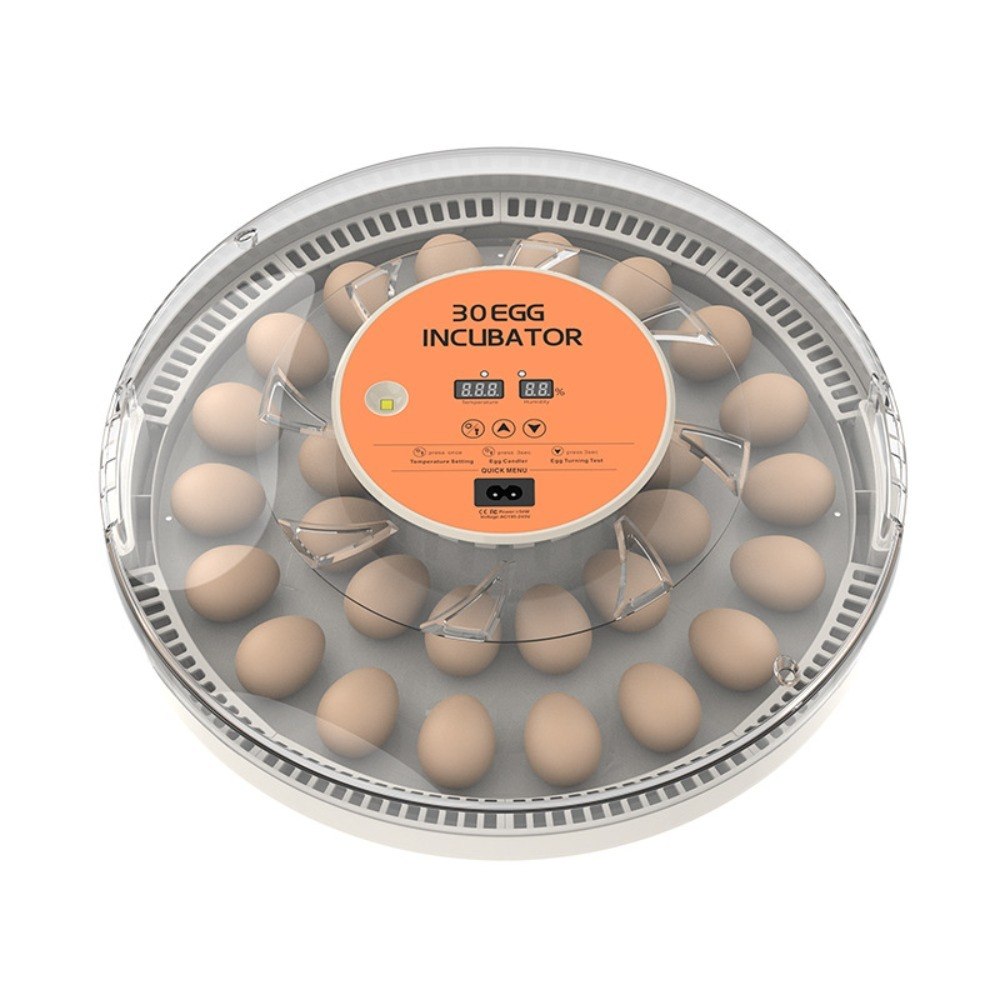 حاضنة بيض دواجن أوتوماتيكية صغ - مراجعة Poultry Incubator وسعره