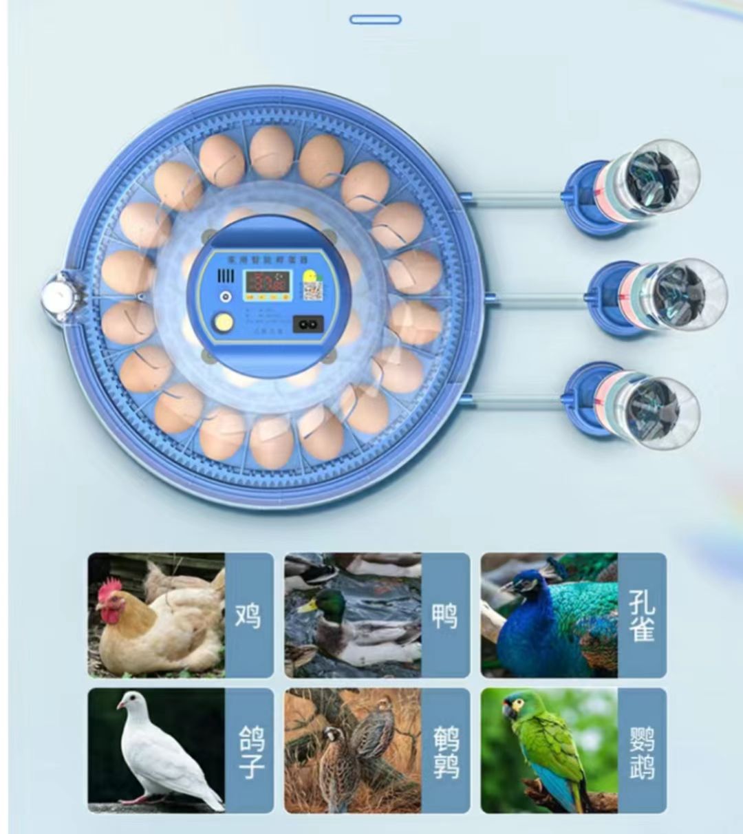 حاضنة بيض دجاج أوتوماتيكية بال - مراجعة Poultry Incubator وسعره