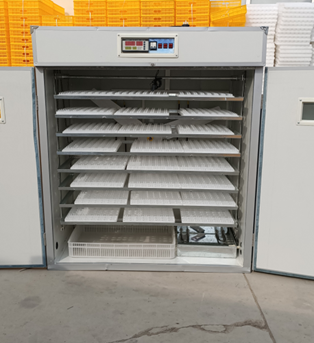 حاضنة بيض دجاج أوتوماتيكية بال - مراجعة Poultry Incubator وسعره